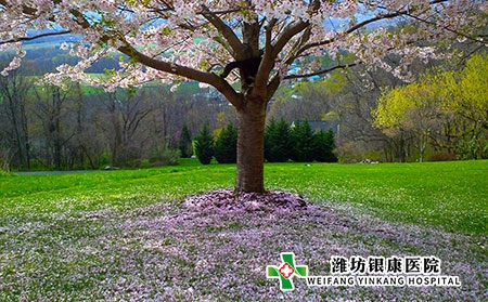 春分时节，潍坊银康医院提醒您银屑病养生指南